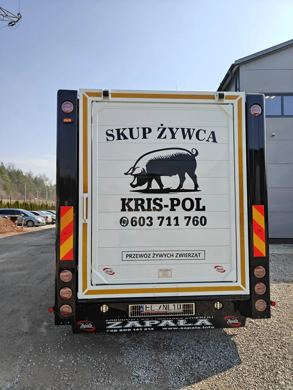 Zielony Mercedes Actros do przewozu trzody