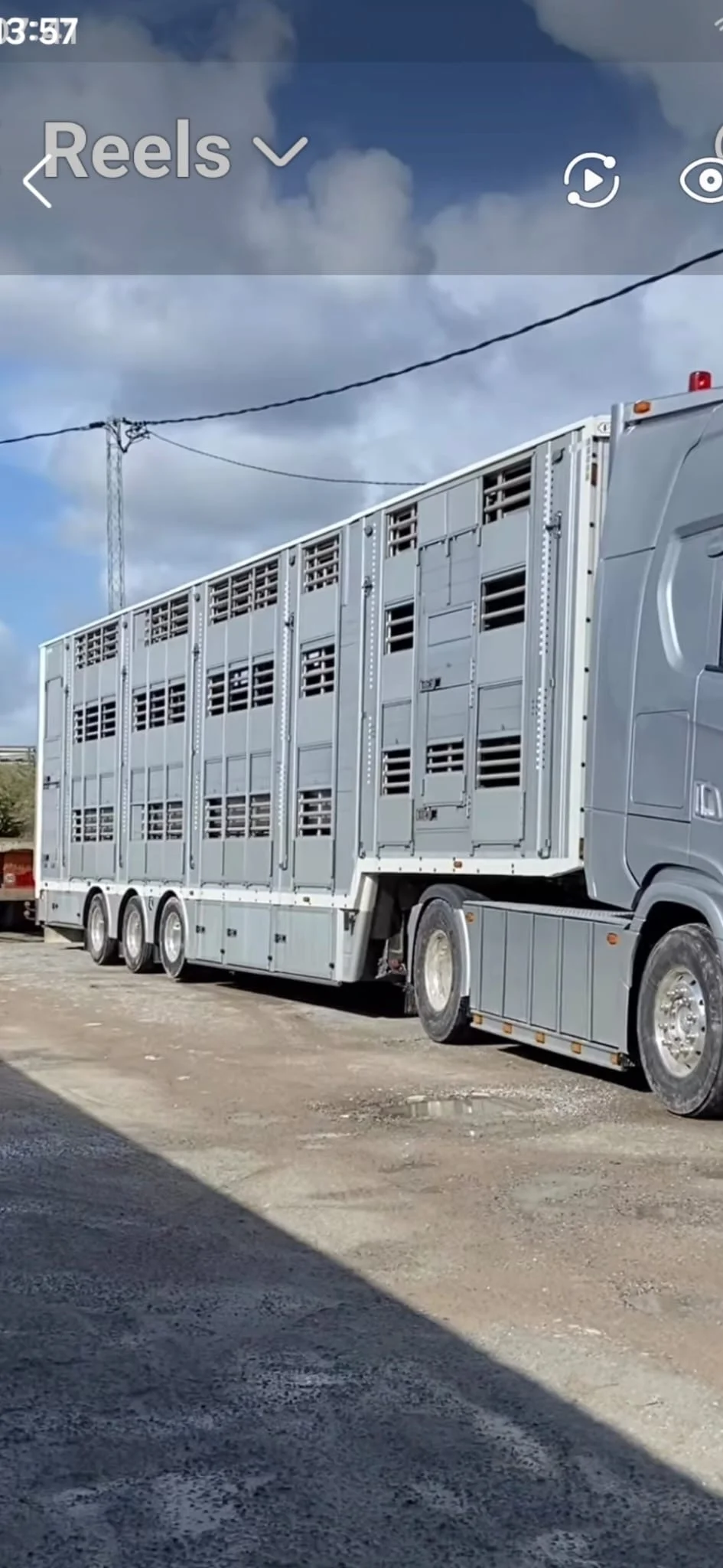 Biały Volvo FH z naczepą do transportu trzody
